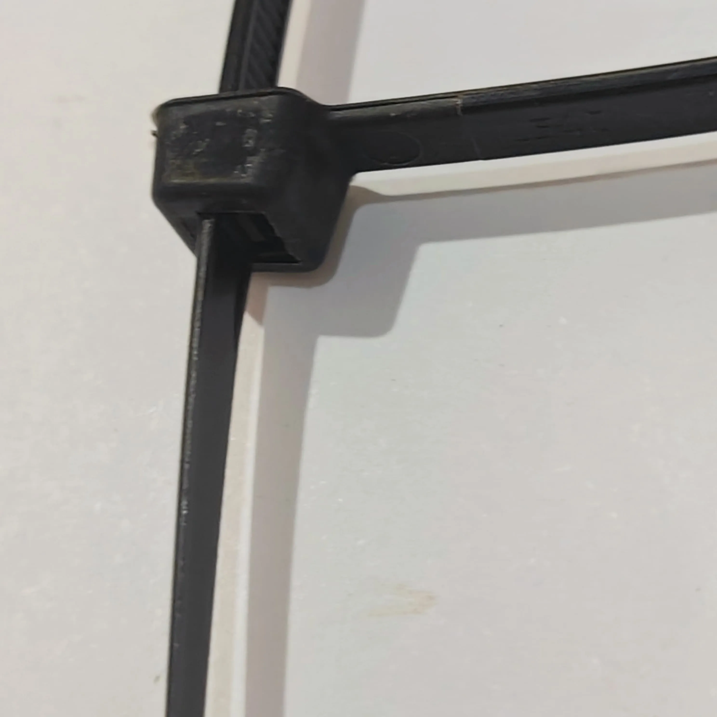 Amarra plastica (correa)